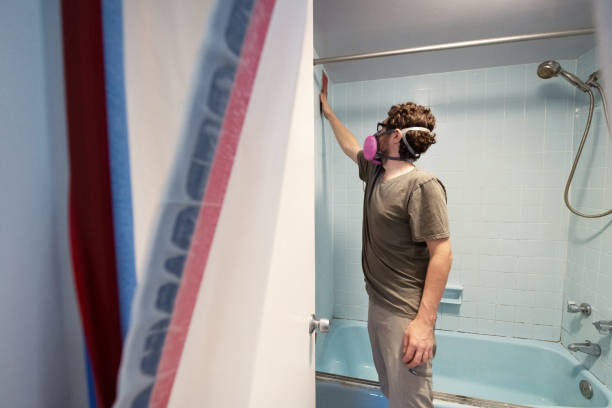 Asbestos and Lead Testing During Mold Inspection in Yorkville, NY