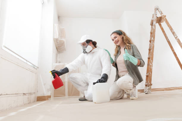 Best Attic Mold Removal  in Yorkville, NY
